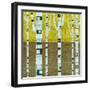 Fall Birches-Michelle Calkins-Framed Art Print