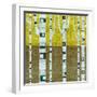 Fall Birches-Michelle Calkins-Framed Art Print