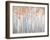 Fall Birches-Danhui Nai-Framed Art Print