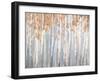 Fall Birches-Danhui Nai-Framed Art Print