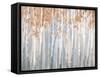 Fall Birches-Danhui Nai-Framed Stretched Canvas