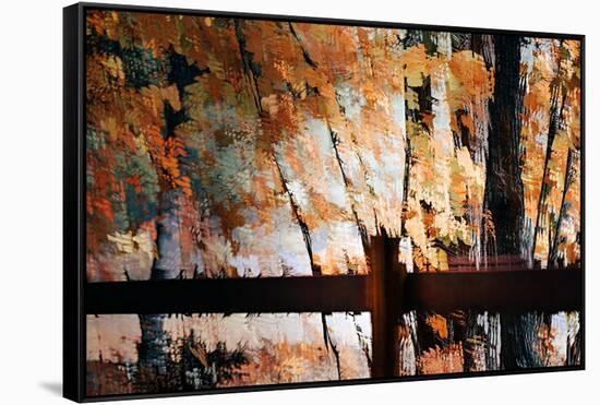 Fall Branches 7-Ursula Abresch-Framed Stretched Canvas