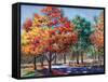 Fall Brilliance I-Todd Williams-Framed Stretched Canvas