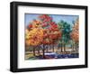 Fall Brilliance I-Todd Williams-Framed Art Print