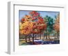 Fall Brilliance I-Todd Williams-Framed Art Print