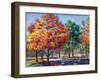 Fall Brilliance I-Todd Williams-Framed Art Print