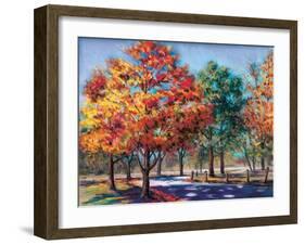 Fall Brilliance I-Todd Williams-Framed Art Print