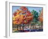 Fall Brilliance I-Todd Williams-Framed Art Print