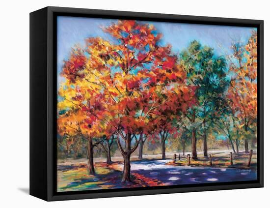 Fall Brilliance I-Todd Williams-Framed Stretched Canvas