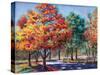Fall Brilliance I-Todd Williams-Stretched Canvas