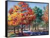 Fall Brilliance I-Todd Williams-Framed Stretched Canvas