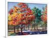 Fall Brilliance I-Todd Williams-Framed Art Print