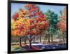 Fall Brilliance I-Todd Williams-Framed Art Print