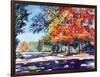 Fall Brilliance II-Todd Williams-Framed Art Print