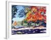 Fall Brilliance II-Todd Williams-Framed Art Print