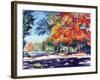 Fall Brilliance II-Todd Williams-Framed Art Print