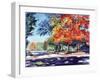 Fall Brilliance II-Todd Williams-Framed Art Print