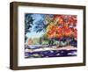 Fall Brilliance II-Todd Williams-Framed Art Print