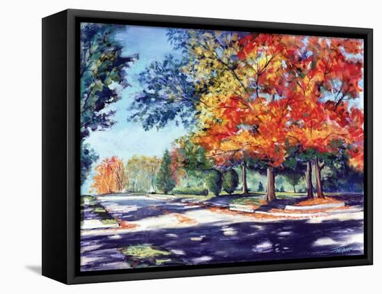 Fall Brilliance II-Todd Williams-Framed Stretched Canvas