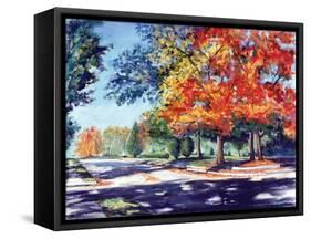 Fall Brilliance II-Todd Williams-Framed Stretched Canvas