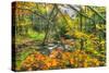 Fall Brook Orange Foliage-Robert Goldwitz-Stretched Canvas