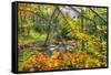 Fall Brook Orange Foliage-Robert Goldwitz-Framed Stretched Canvas