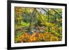 Fall Brook Orange Foliage-Robert Goldwitz-Framed Photographic Print