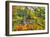 Fall Brook Orange Foliage-Robert Goldwitz-Framed Photographic Print