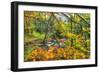 Fall Brook Orange Foliage-Robert Goldwitz-Framed Photographic Print