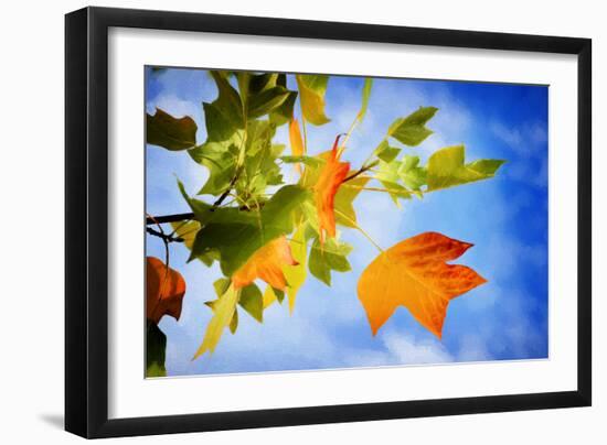 Fall Candy-Philippe Sainte-Laudy-Framed Photographic Print