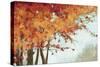 Fall Canopy I-Andrew Michaels-Stretched Canvas