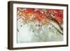 Fall Canopy II-Andrew Michaels-Framed Premium Giclee Print