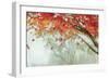 Fall Canopy II-Andrew Michaels-Framed Premium Giclee Print