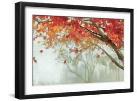 Fall Canopy II-Andrew Michaels-Framed Art Print