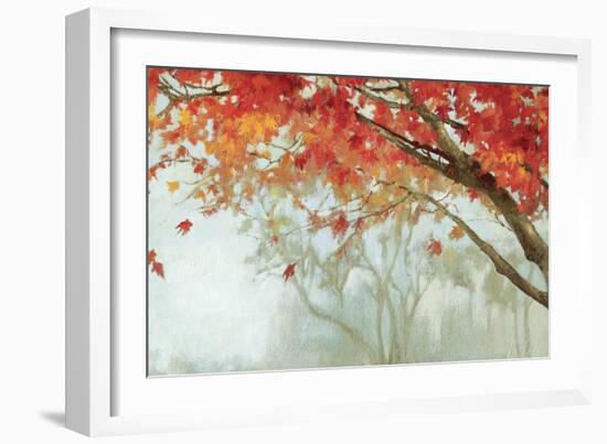 Fall Canopy II-Andrew Michaels-Framed Art Print