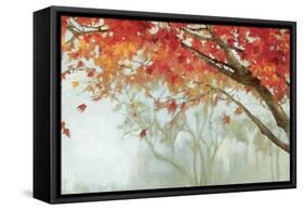 Fall Canopy II-Andrew Michaels-Framed Stretched Canvas