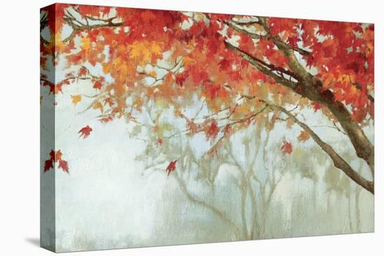 Fall Canopy II-Andrew Michaels-Stretched Canvas