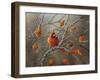 Fall Cardinal-Sarah Davis-Framed Giclee Print