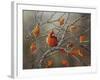 Fall Cardinal-Sarah Davis-Framed Giclee Print