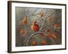 Fall Cardinal-Sarah Davis-Framed Giclee Print