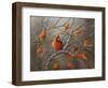 Fall Cardinal-Sarah Davis-Framed Giclee Print