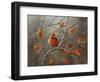 Fall Cardinal-Sarah Davis-Framed Giclee Print