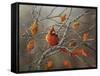 Fall Cardinal-Sarah Davis-Framed Stretched Canvas