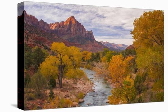 Fall Classic at The Watchman, Zion National Park-null-Stretched Canvas