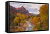 Fall Classic at The Watchman, Zion National Park-null-Framed Stretched Canvas