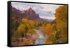 Fall Classic at The Watchman, Zion National Park-null-Framed Stretched Canvas