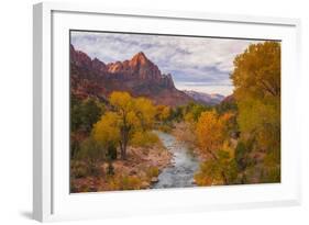 Fall Classic at The Watchman, Zion National Park-null-Framed Photographic Print