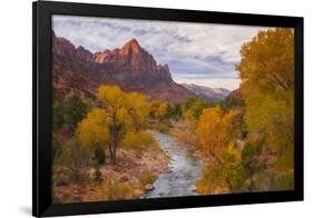 Fall Classic at The Watchman, Zion National Park-null-Framed Photographic Print