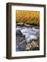 Fall Color Along Bishop Creek, Inyo National Forest, Sierra Nevada Mountains, California, Usa-Russ Bishop-Framed Photographic Print