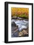 Fall Color Along Bishop Creek, Inyo National Forest, Sierra Nevada Mountains, California, Usa-Russ Bishop-Framed Photographic Print